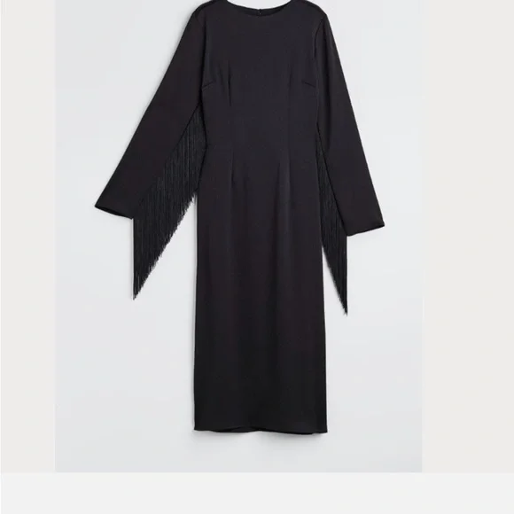 ✂️ H&M Black Long Sleeve Fringe Dress - Picture 1 of 11